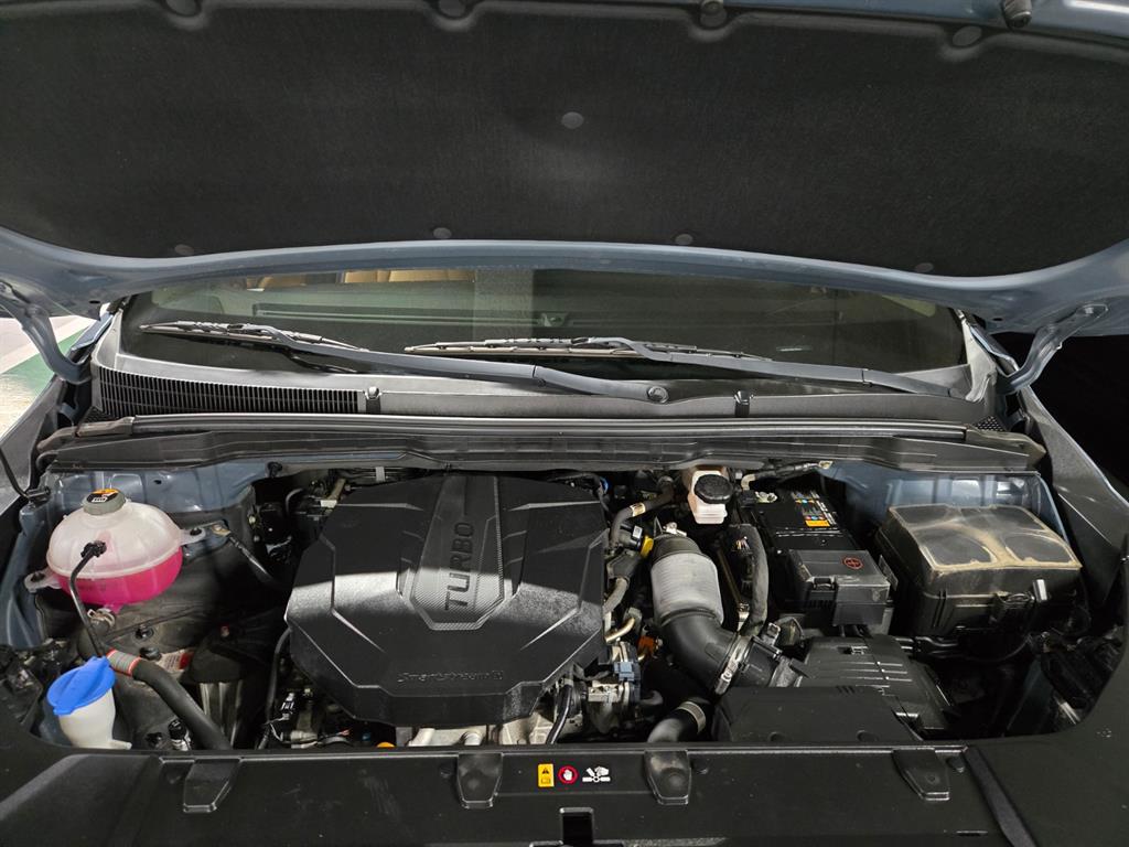 Kia Carnival — photo 20