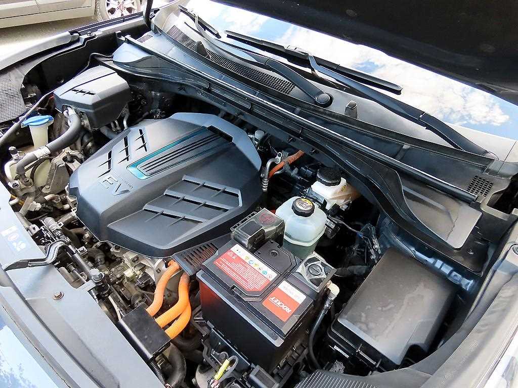 Kia Niro — photo 19
