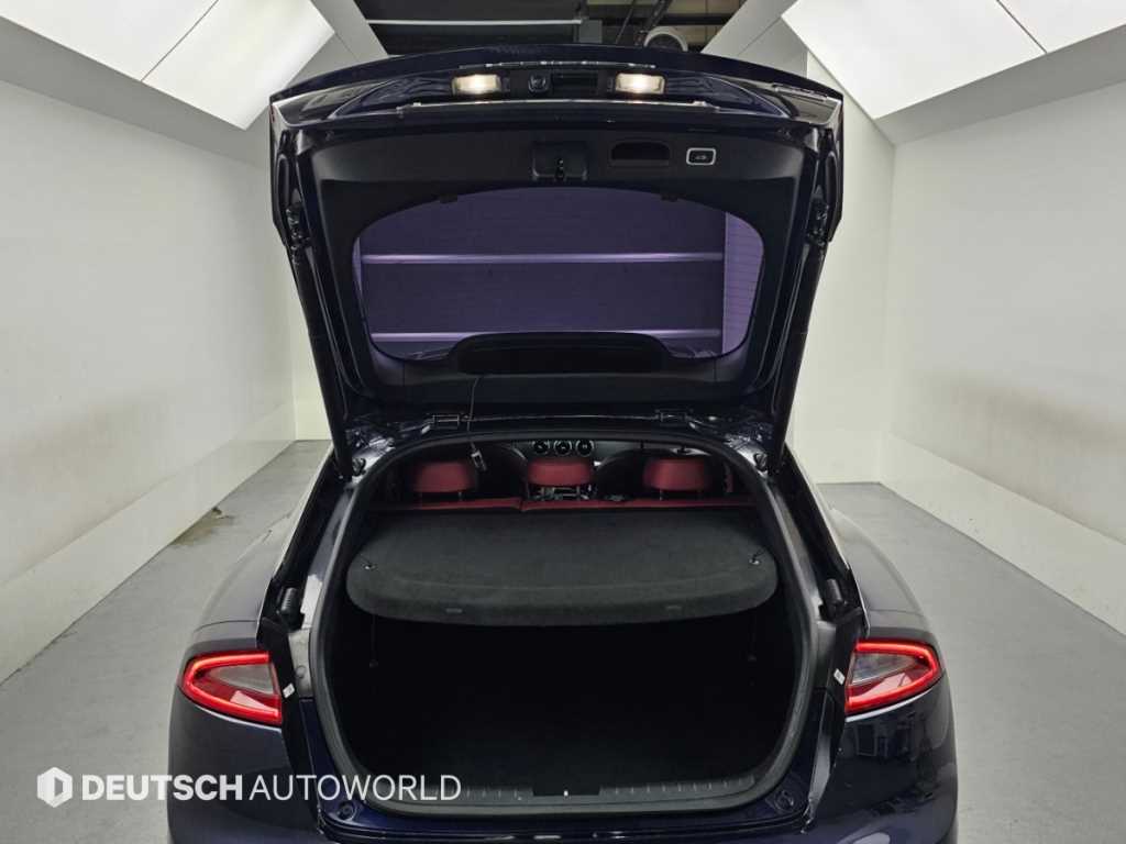Kia Stinger — photo 19