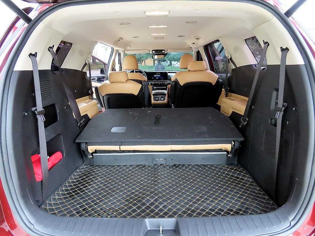 Kia Carnival — photo 16