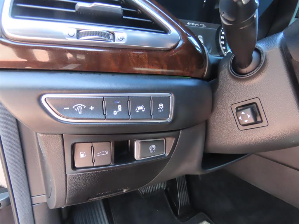 Genesis EQ900 — photo 15