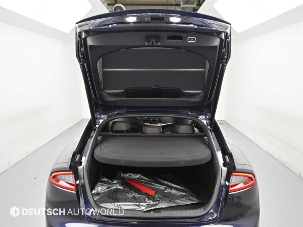 Kia Stinger — photo 19