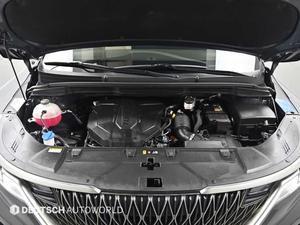 Kia Carnival — photo 06