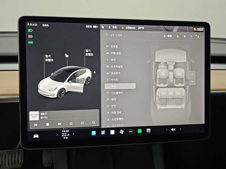 Tesla Model 3 — photo 10