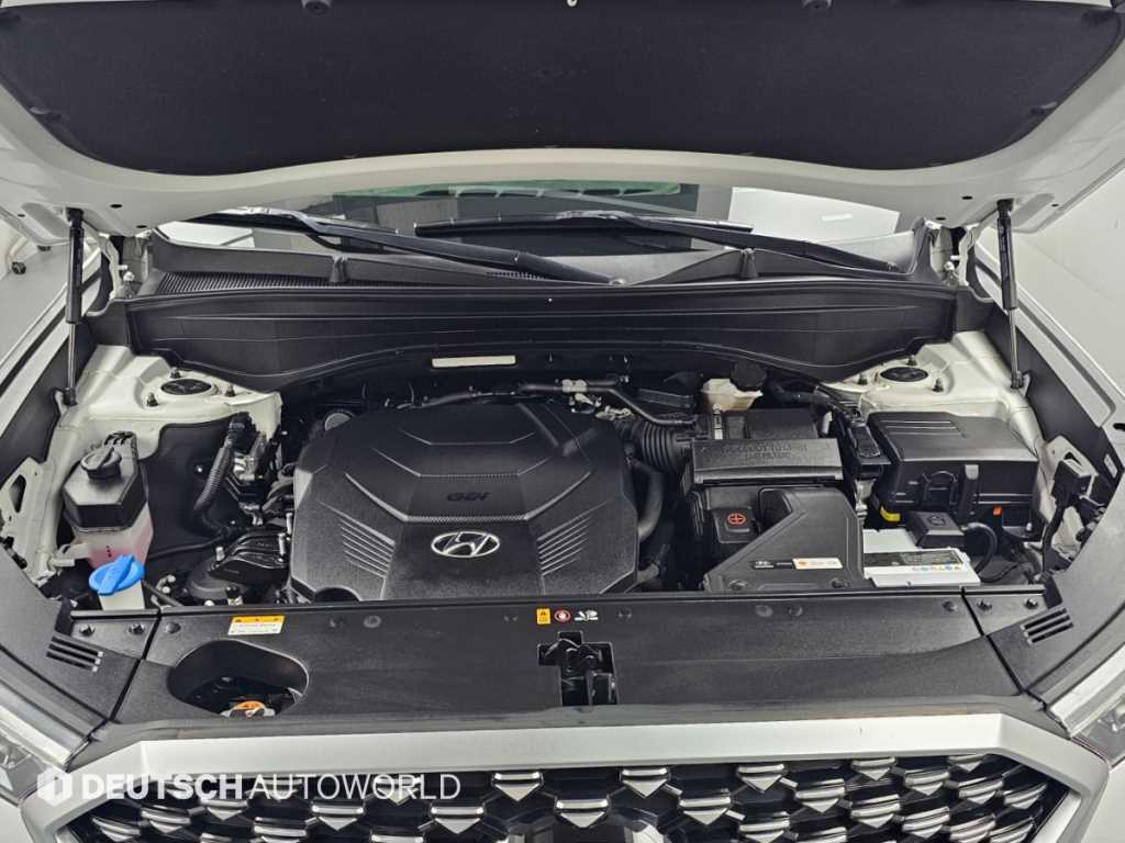 Hyundai Palisade — photo 06