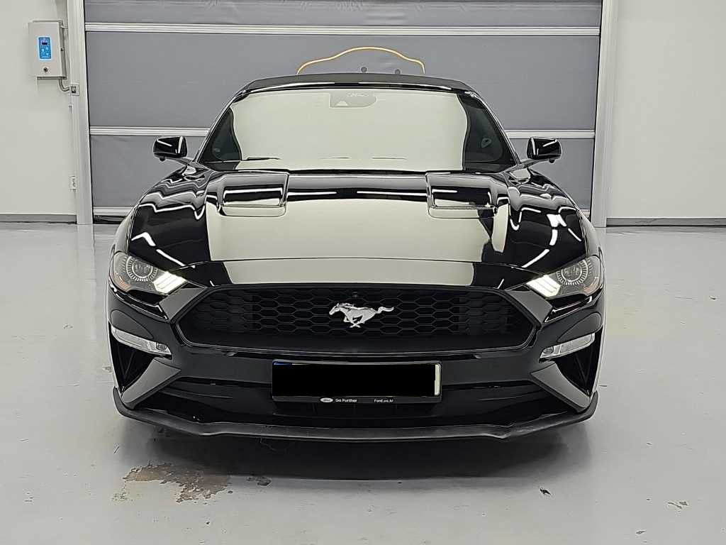 Ford Mustang — photo 02
