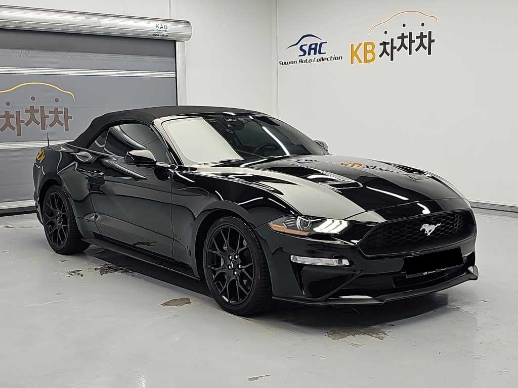 Ford Mustang — photo 04