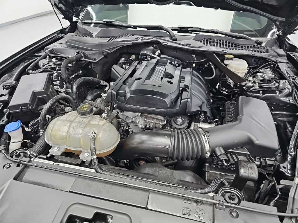 Ford Mustang — photo 05