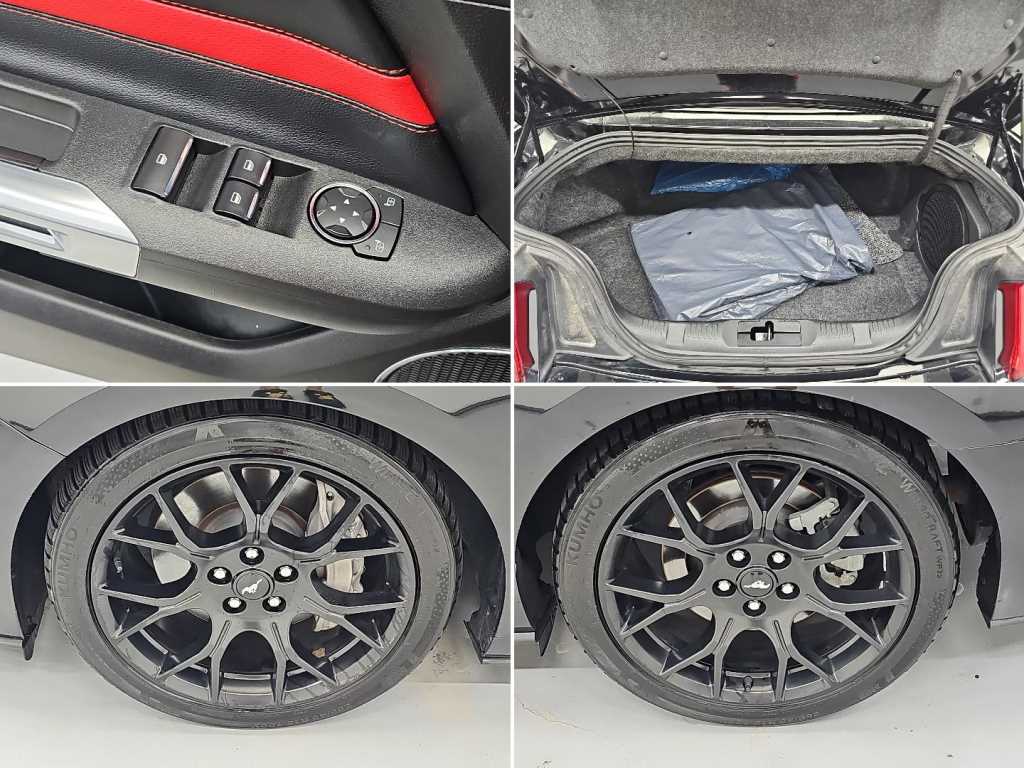 Ford Mustang — photo 18