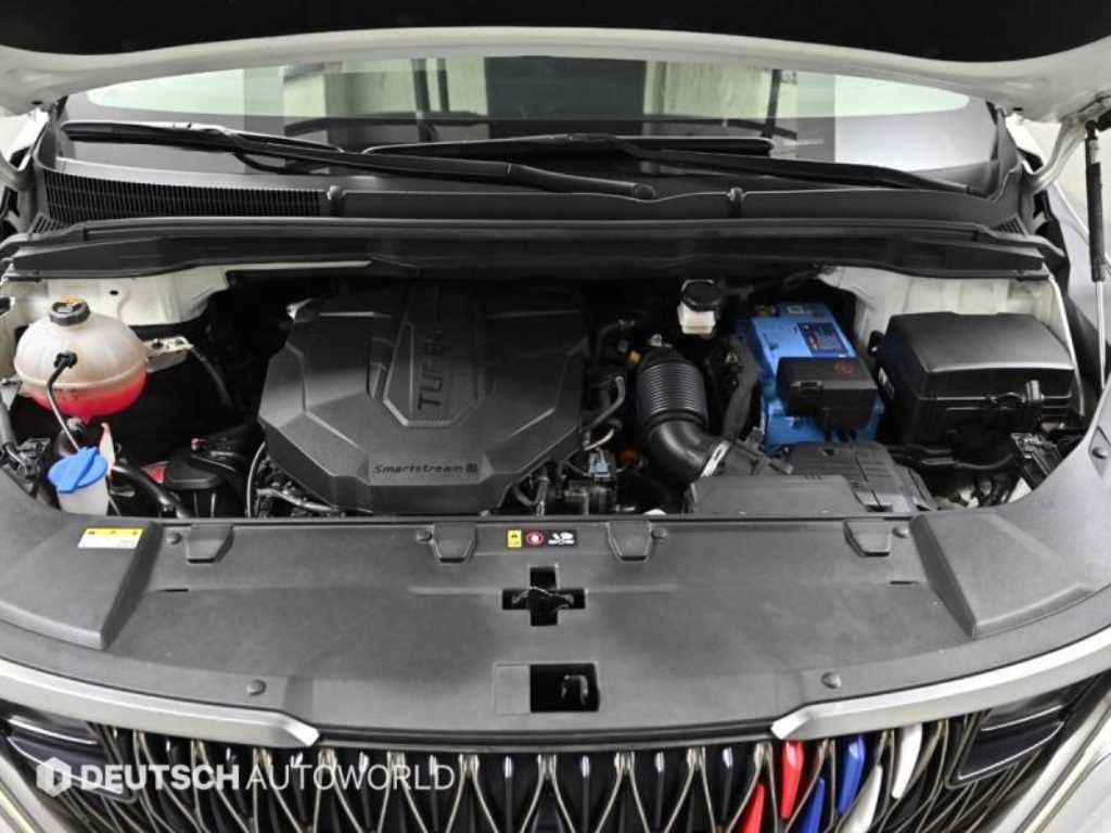 Kia Carnival — photo 06