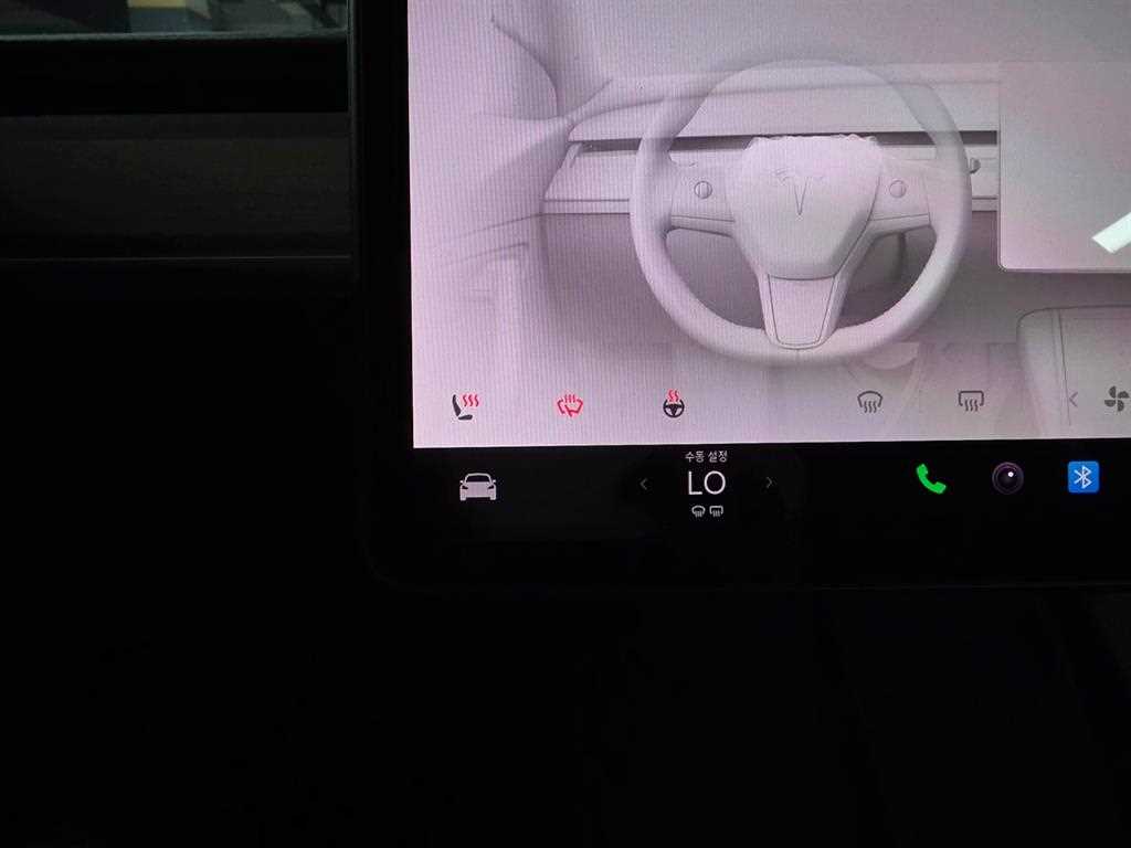 Tesla Model 3 — photo 19