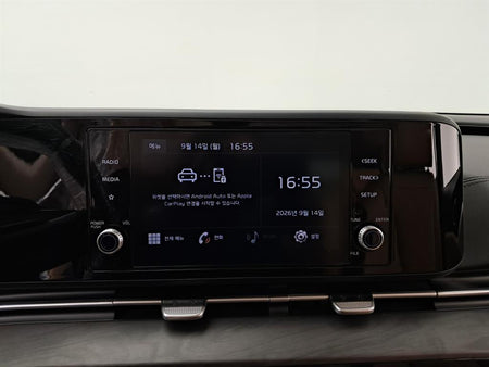 Kia Carnival — photo 09
