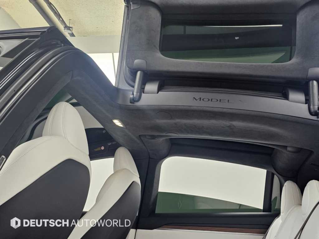 Tesla Model X — photo 18