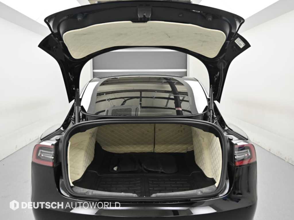 Tesla Model 3 — photo 19