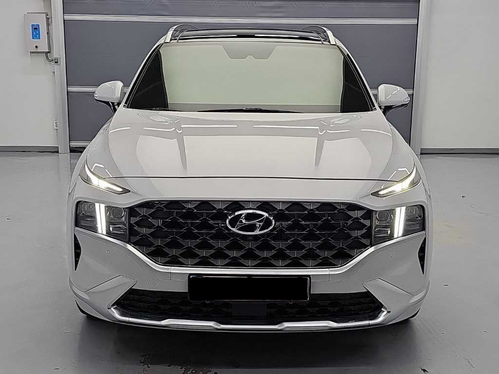Hyundai Santafe — photo 03