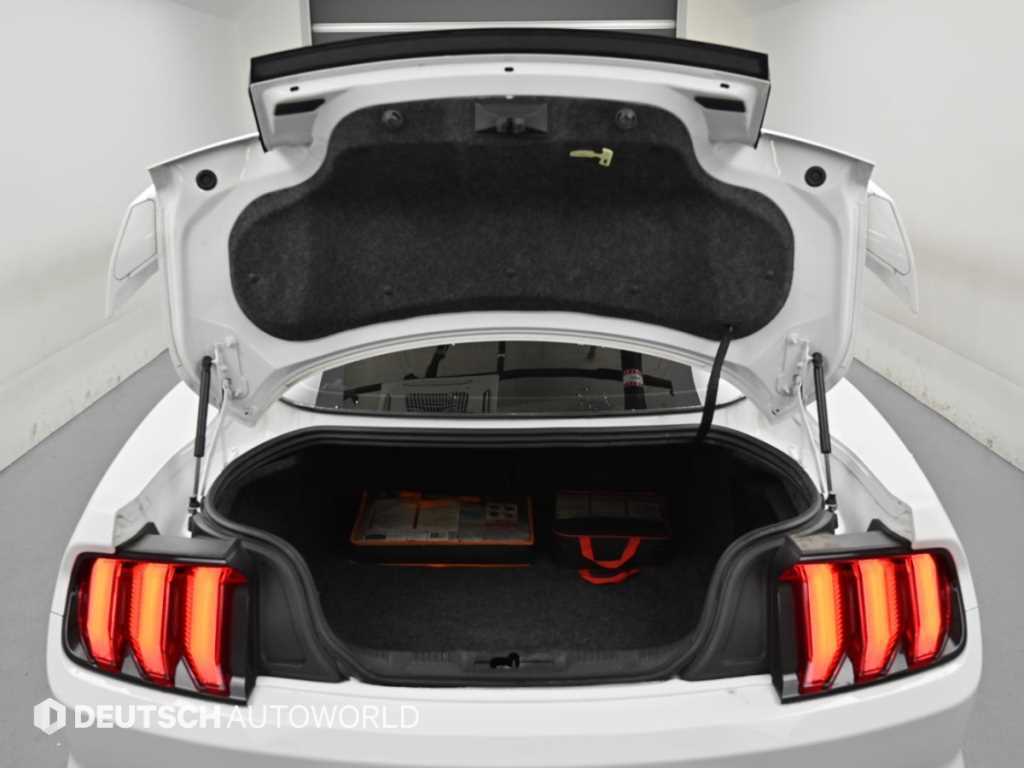 Ford Mustang — photo 19