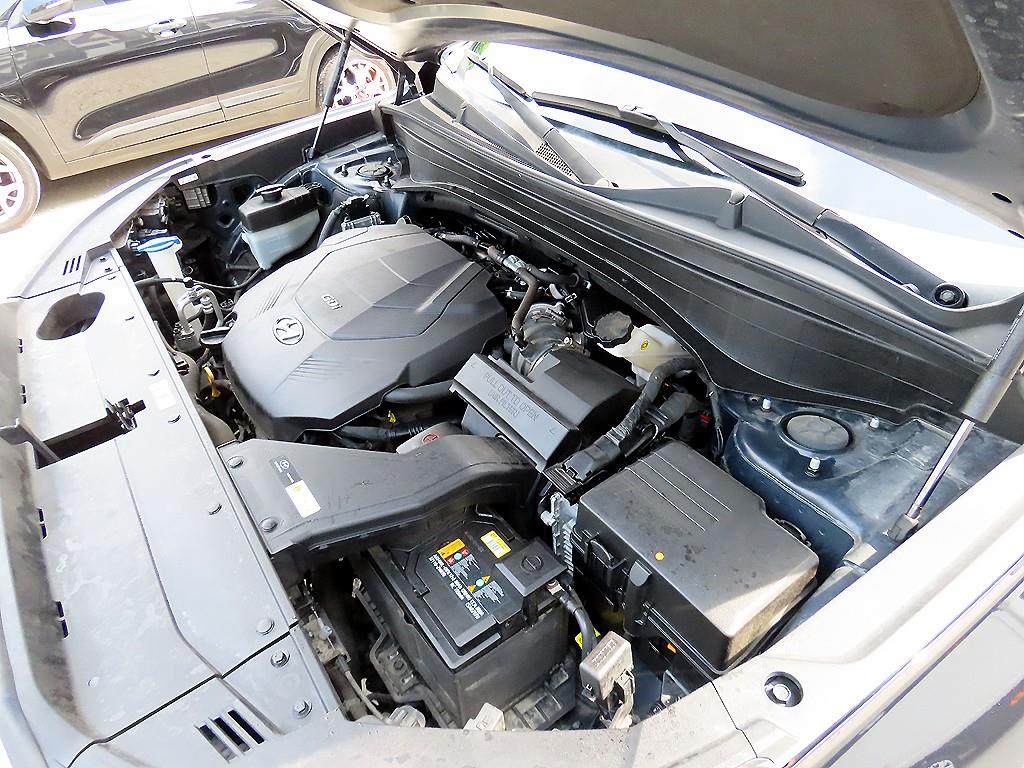 Hyundai Palisade — photo 19