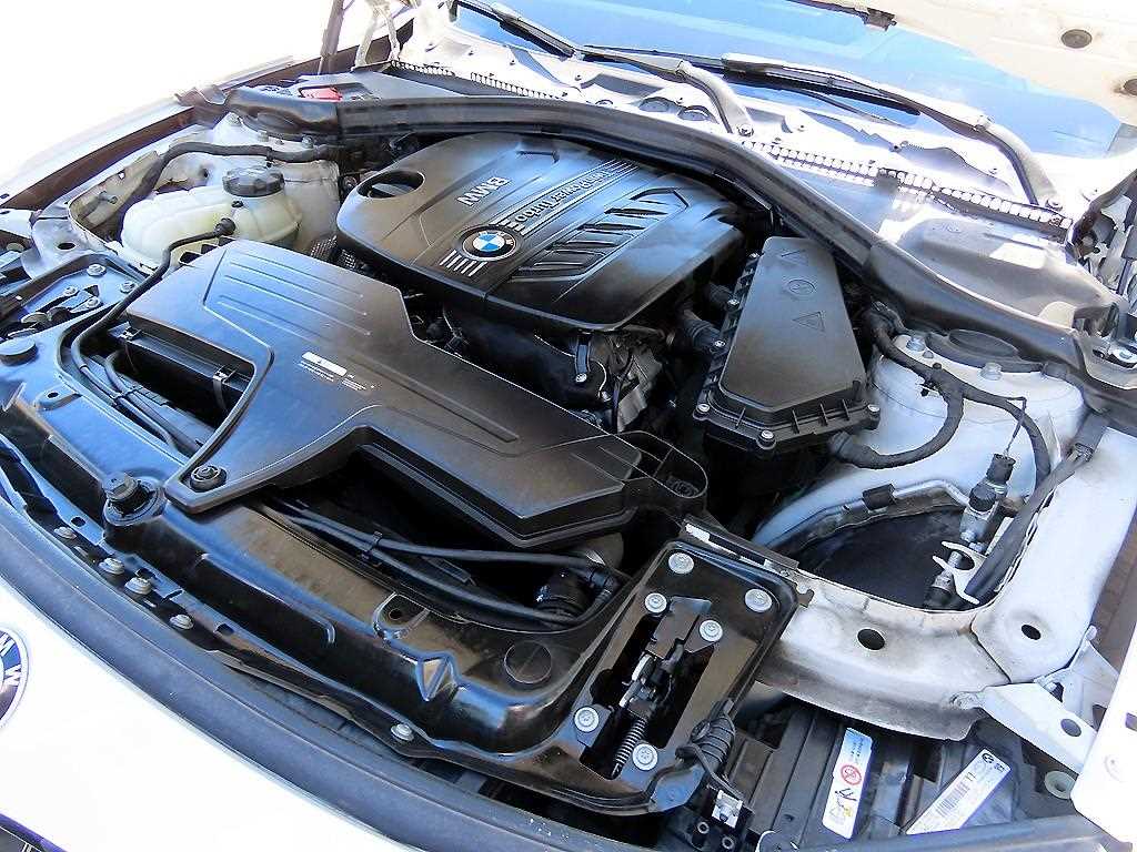 BMW 3-Series — photo 19