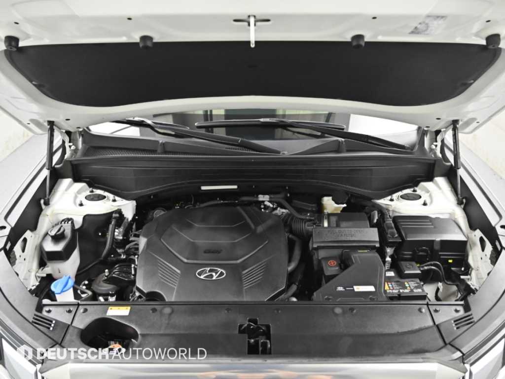 Hyundai Palisade — photo 06