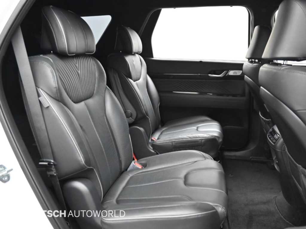Hyundai Palisade — photo 12
