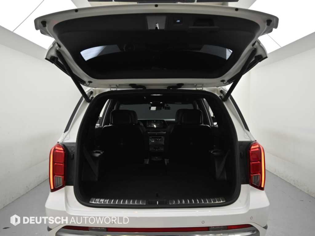 Hyundai Palisade — photo 19