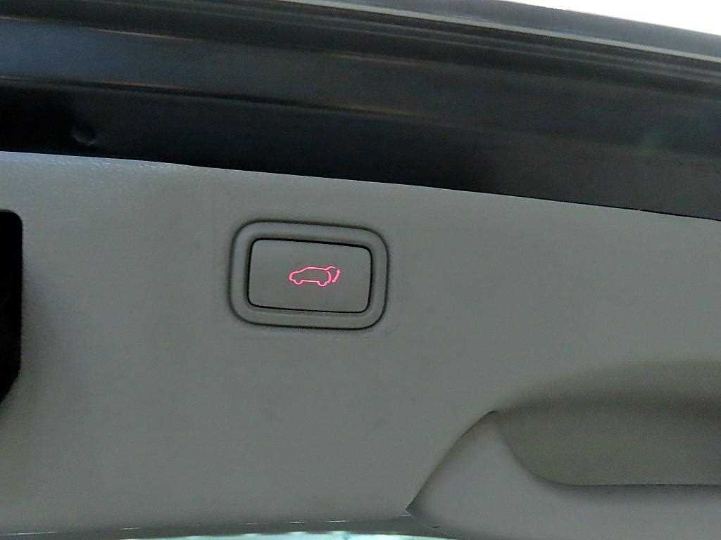 Kia Carnival — photo 16