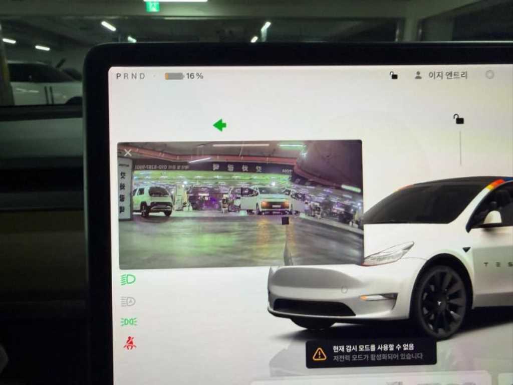 Tesla Model Y — photo 12