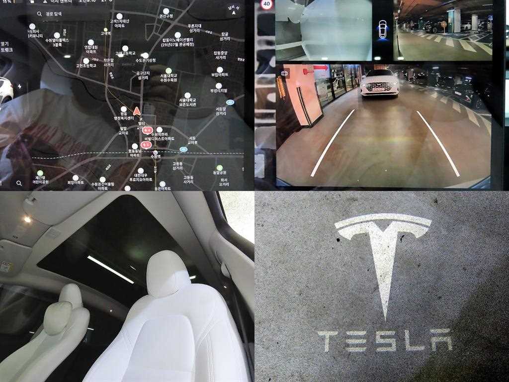 Tesla Model Y — photo 18
