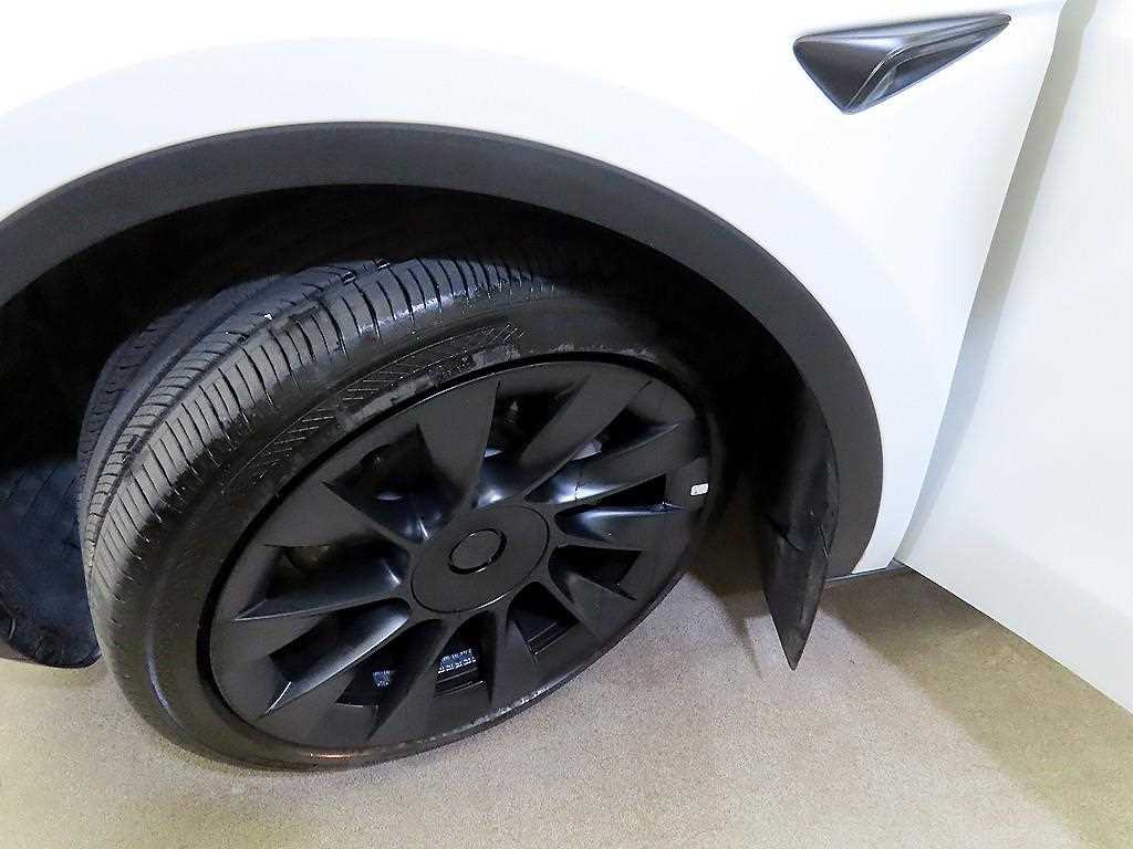 Tesla Model Y — photo 20