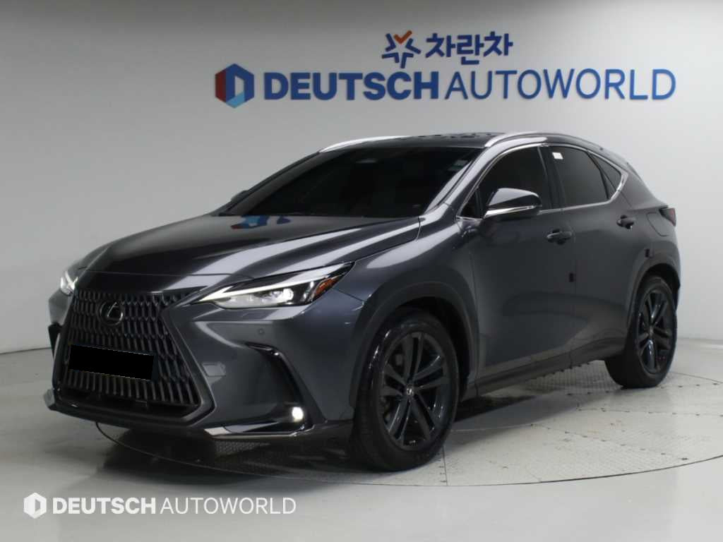 Lexus NX — photo 01