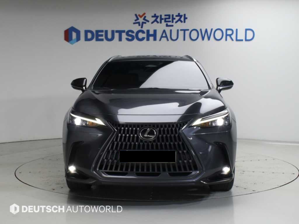 Lexus NX — photo 03