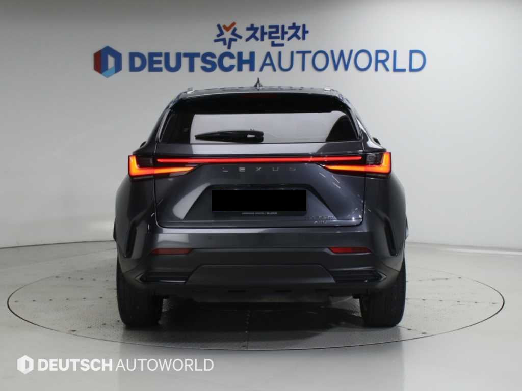 Lexus NX — photo 04