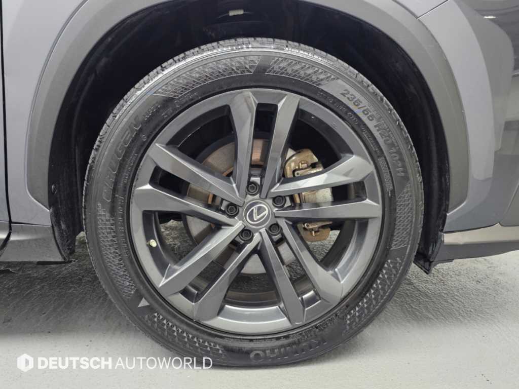 Lexus NX — photo 05