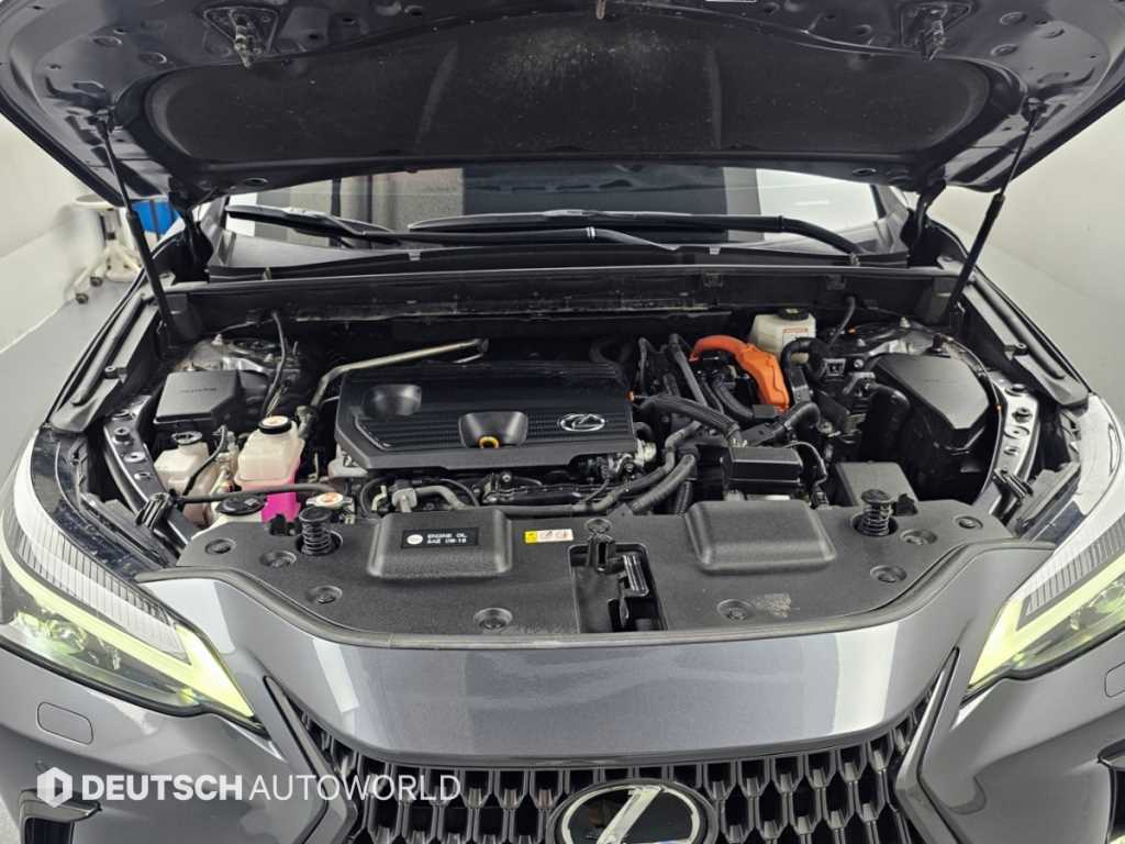 Lexus NX — photo 06