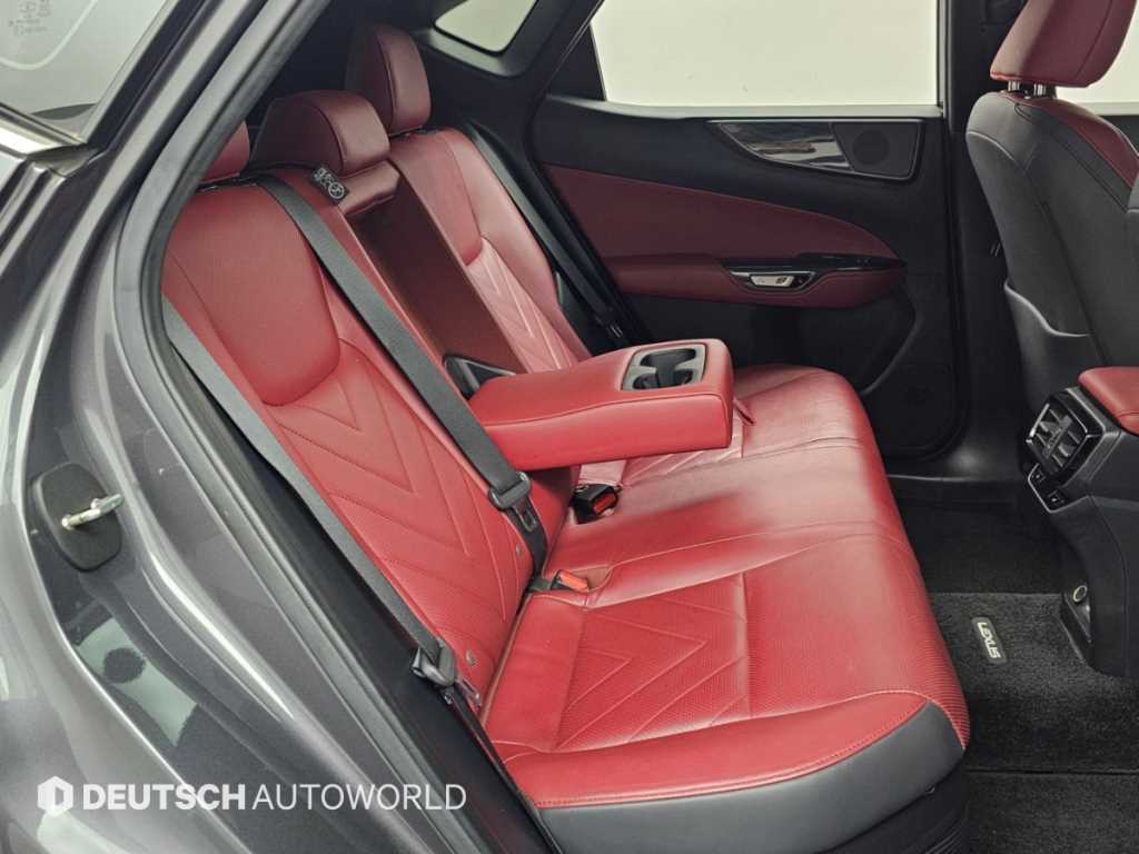 Lexus NX — photo 12