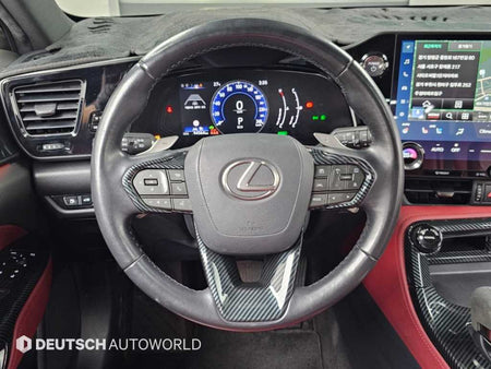 Lexus NX — photo 13