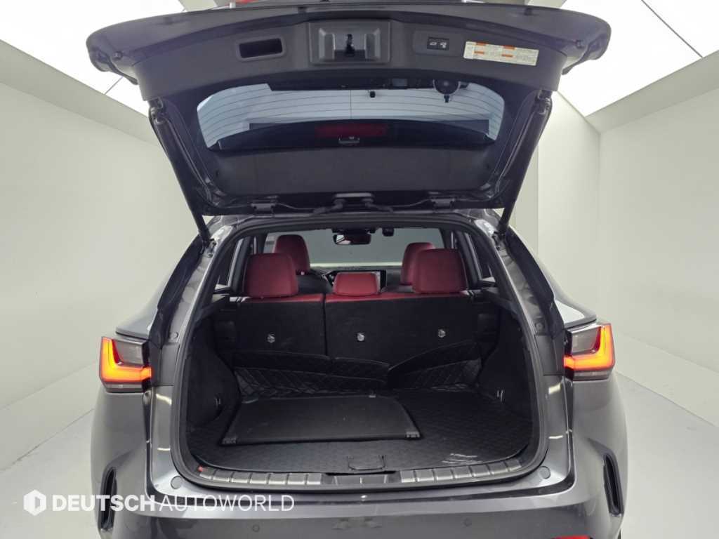 Lexus NX — photo 18