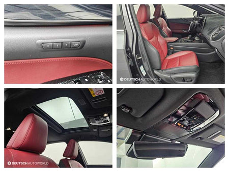 Lexus NX — photo 19