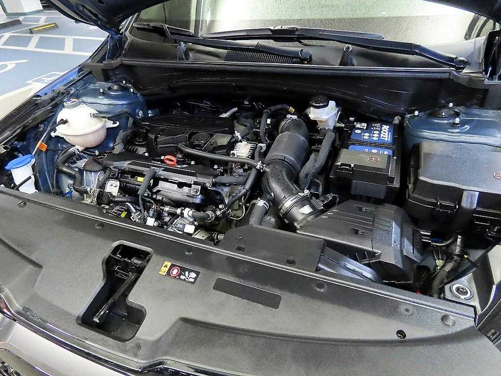 Kia Sportage — photo 19