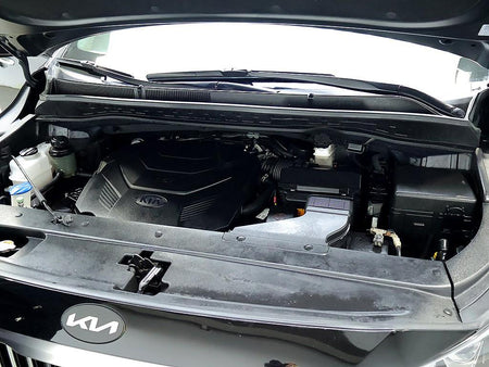 Kia Carnival — photo 08
