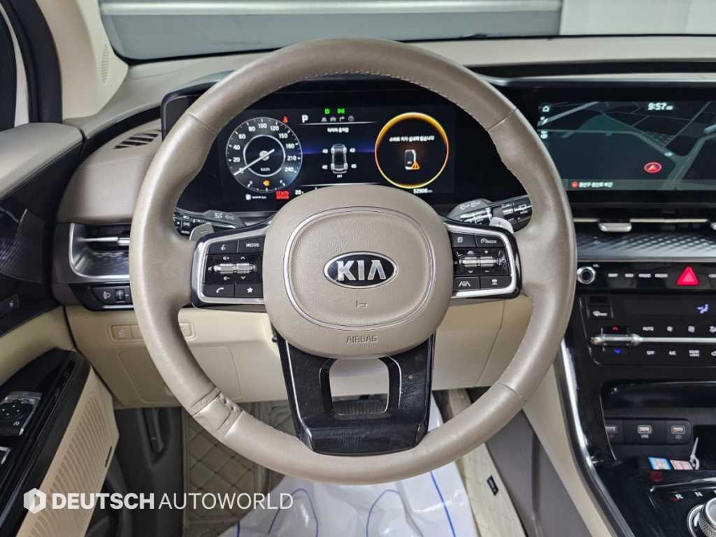 Kia Carnival — photo 13