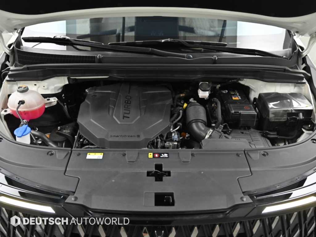Kia Carnival — photo 07