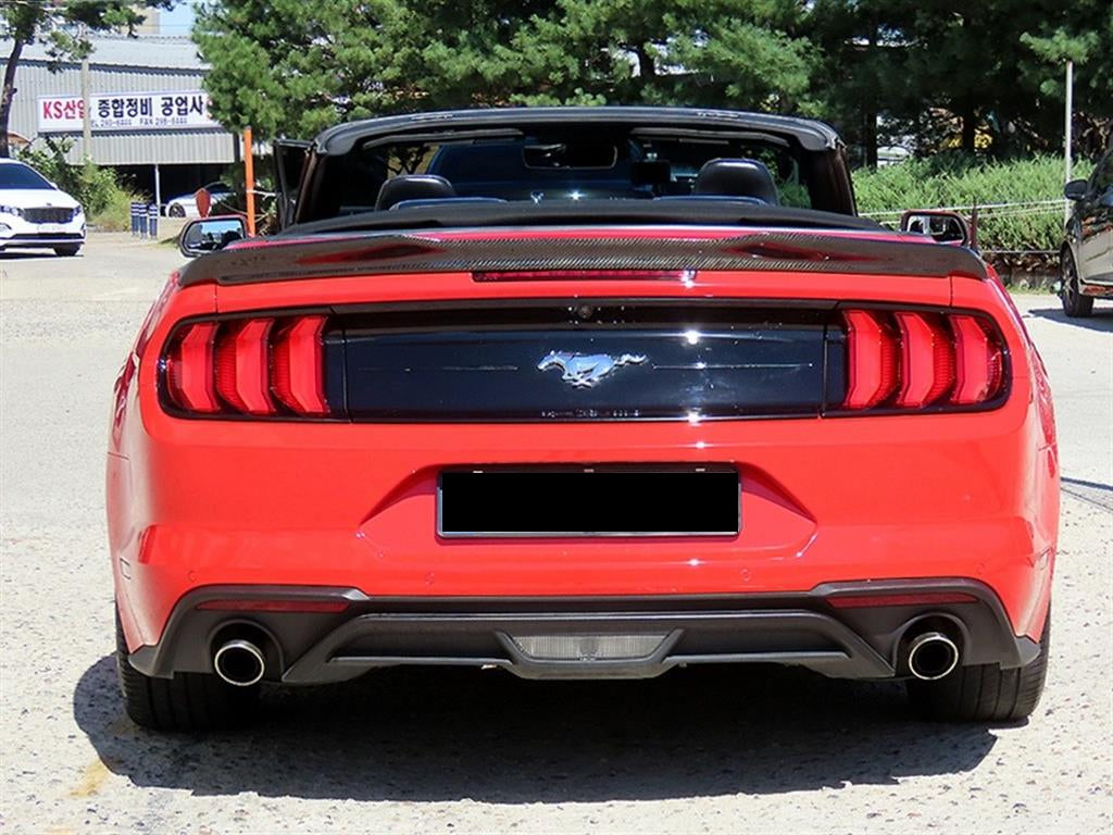 Ford Mustang — photo 08