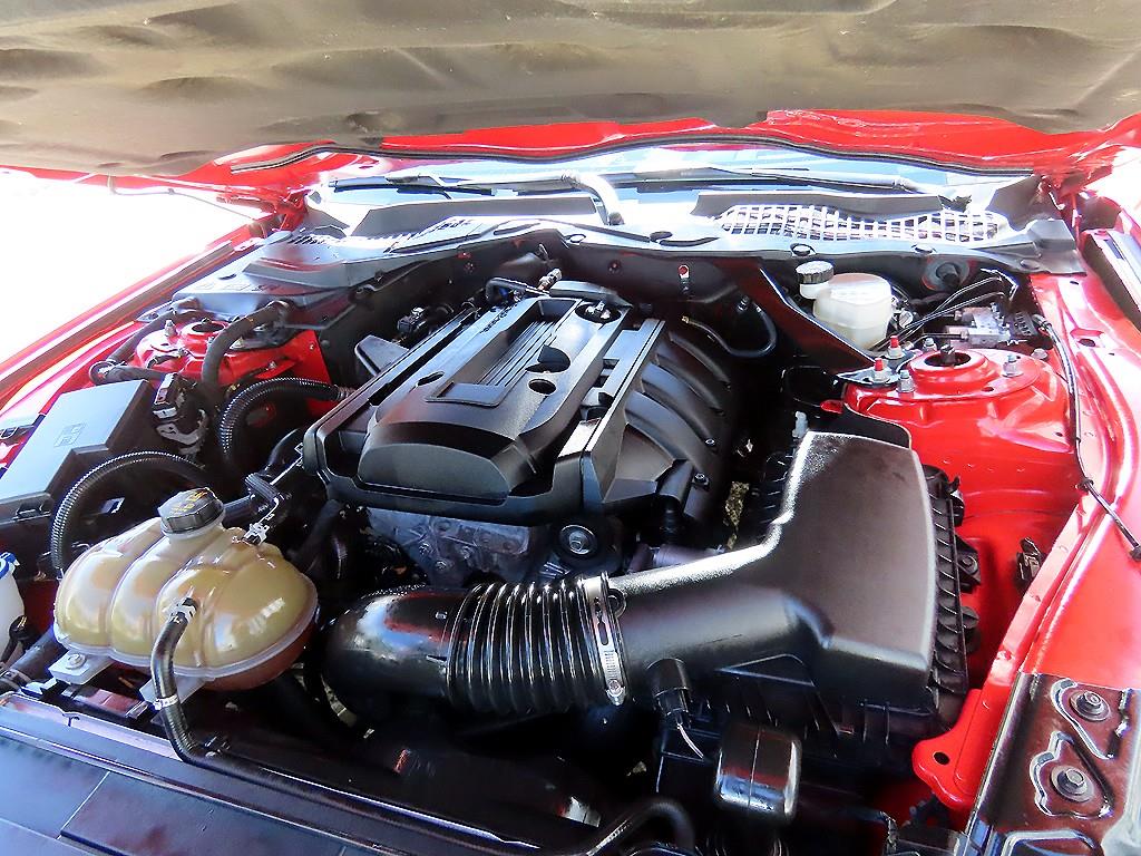 Ford Mustang — photo 19
