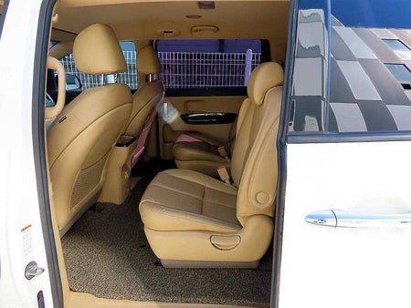 Kia Carnival — photo 06
