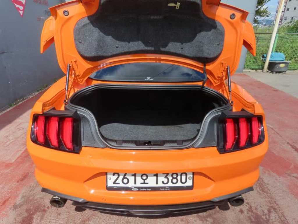 Ford Mustang — photo 05