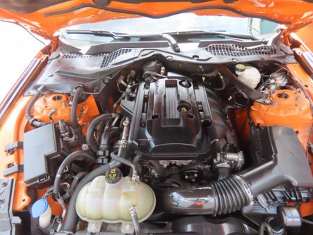 Ford Mustang — photo 18