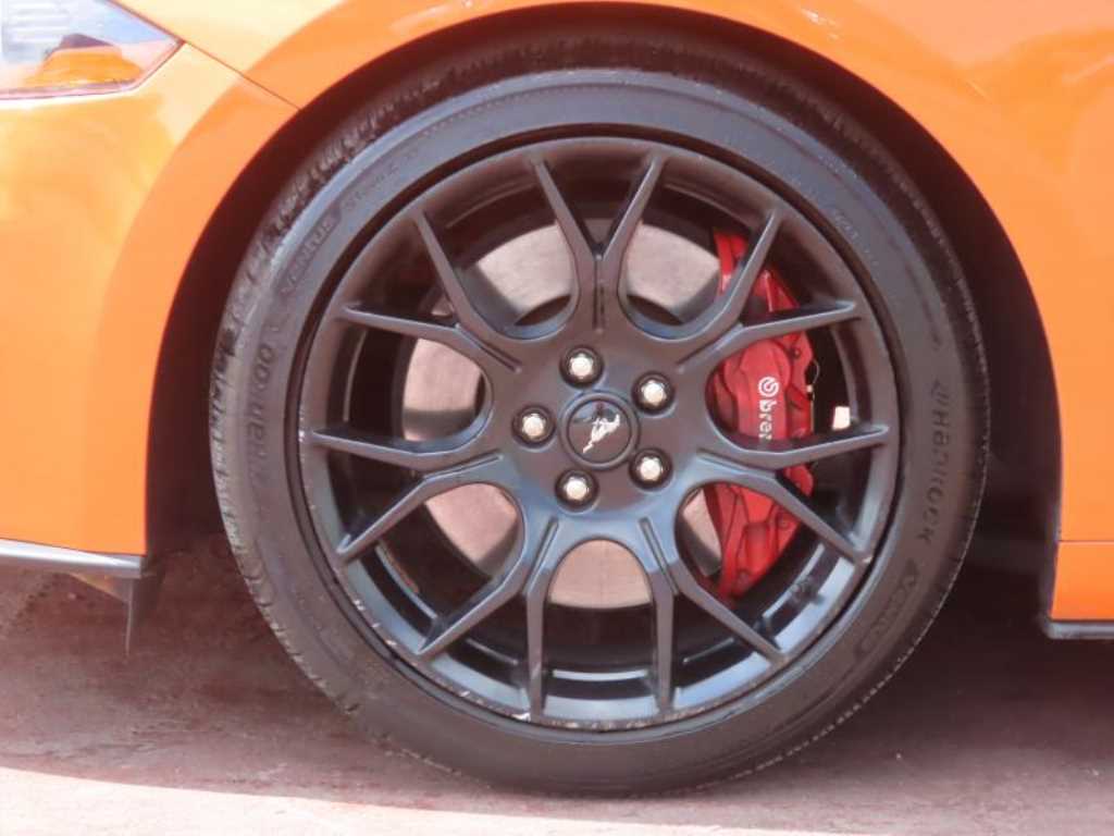 Ford Mustang — photo 20
