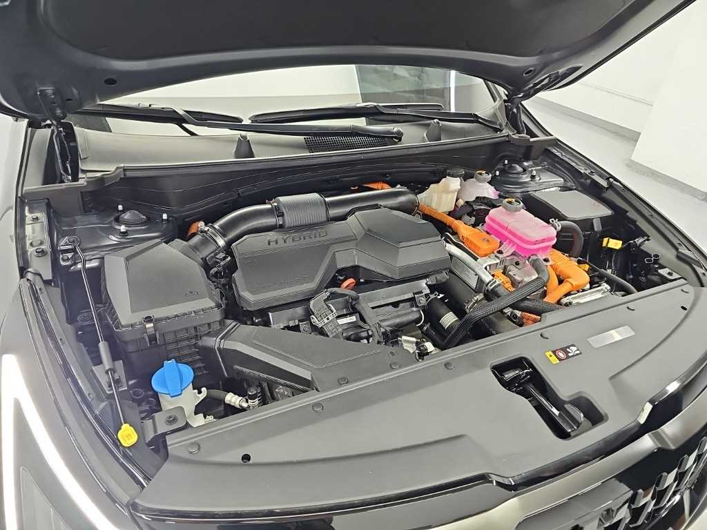 Kia Sportage — photo 05