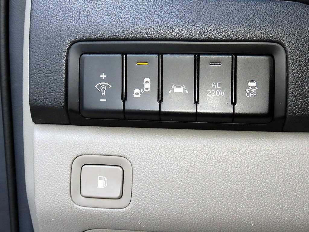 Kia Carnival — photo 12